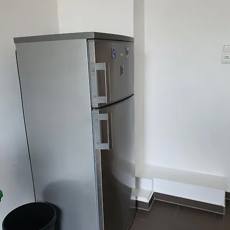 Schwan-1-5-personen