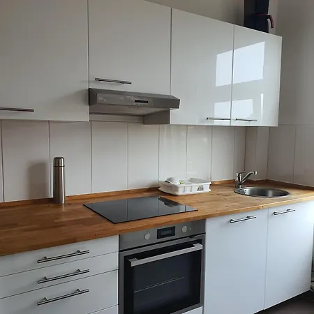 Schwan-1-5-personen Daire Brunsbuttel